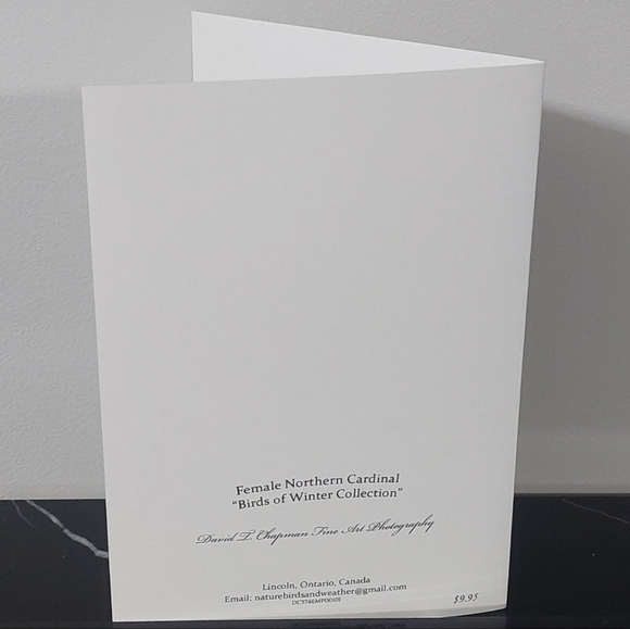 Northern Cardinal Female Matte Finish 5" x 7" Blank Photo Card - Picture 2 of 2